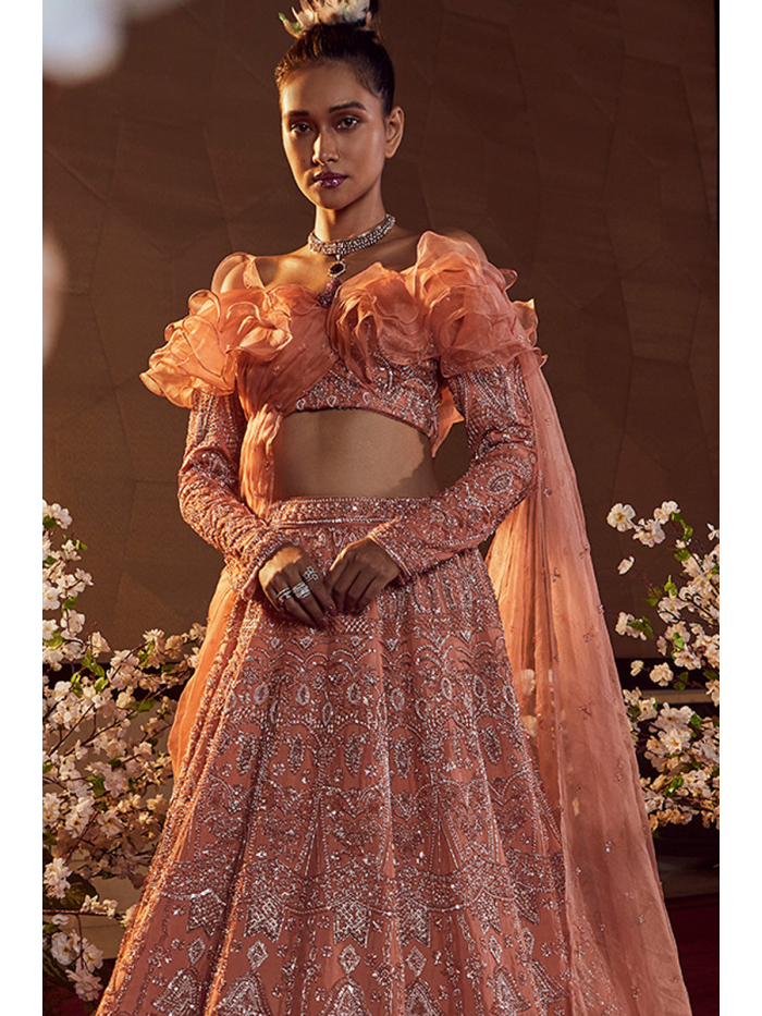 Party Wear Organza Lehenga Design | keerramnx