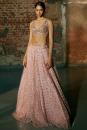  SWARM Full Hand Emb Lehenga Paired With Hand Emb Blouse  and Dupatta